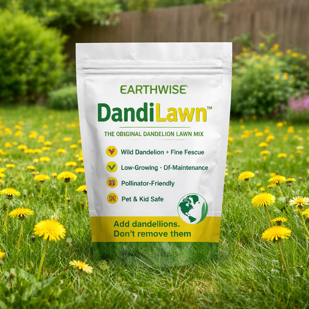 Low-Maintenance Lawn Mixes